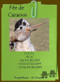 Setter Anglais FEE DE CAZAOUS Setter Anglais FEE DE CAZAOUS